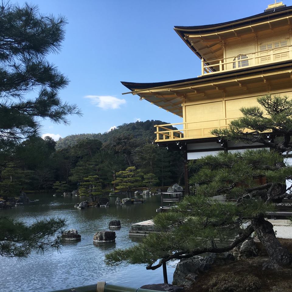 17264879_10210203612179425_3520281522198152571_n